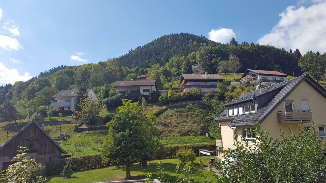 Ferienwohnung Am Kurpark バート・ヴィルトバート エクステリア 写真