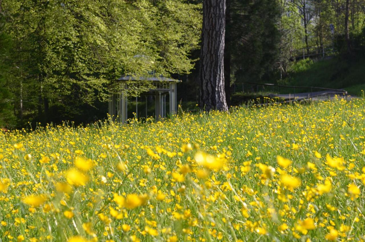 Ferienwohnung Am Kurpark バート・ヴィルトバート エクステリア 写真