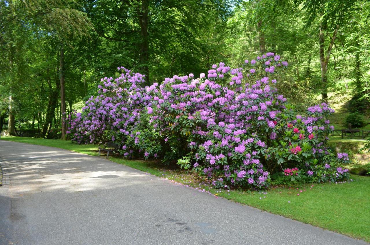 Ferienwohnung Am Kurpark バート・ヴィルトバート エクステリア 写真